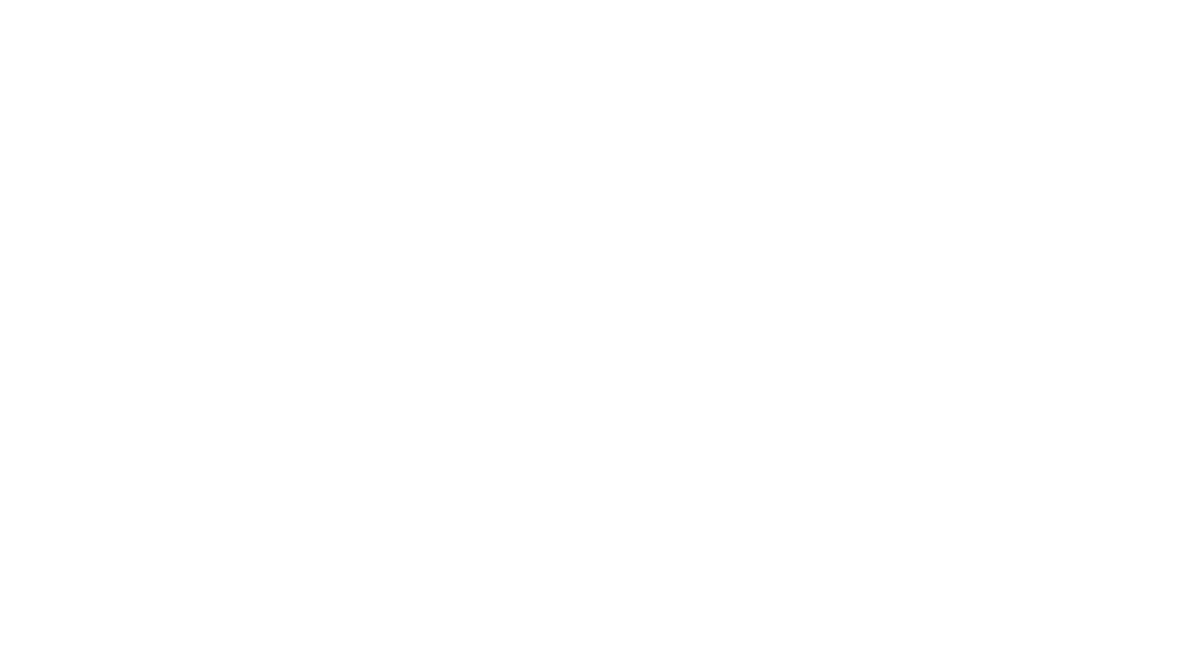 Bold Orange Logo