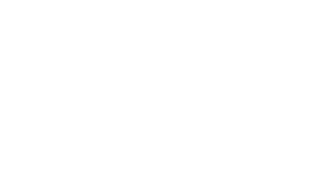 Dual Studios Logo