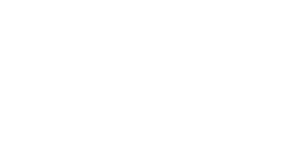 Fredrikson Logo