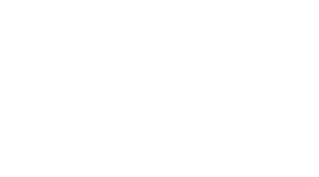 Grey Ghost Logo